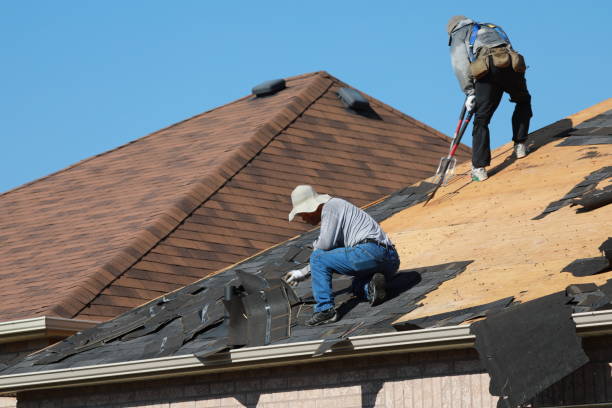 Trusted Dayton, NV  Roofing repair and installation Experts