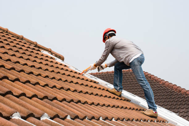 Best Storm Damage Roof Repair  in Dayton, NV